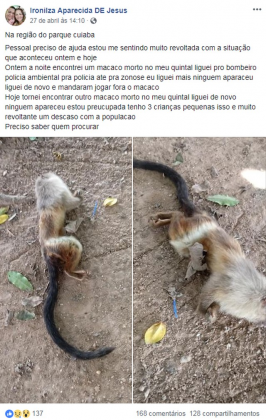 macacos-mortos.png