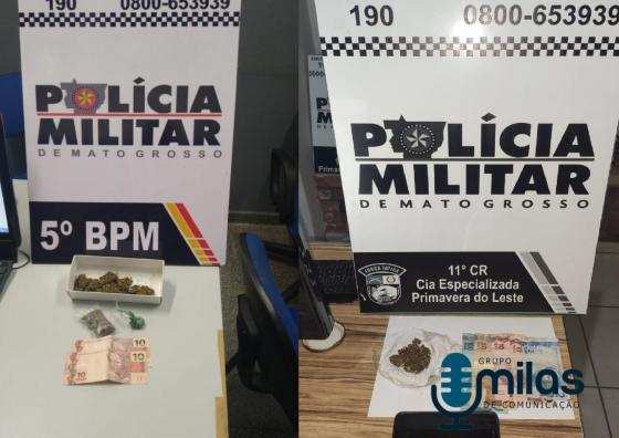 dROGA rOO E PRIMAVERA.jpg