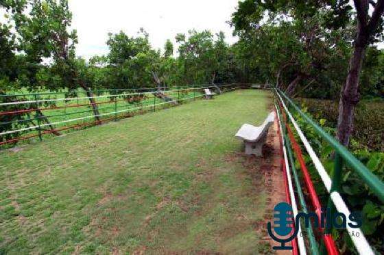 Parque 
