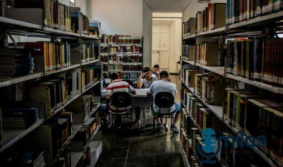 Biblioteca - leitura.jpg