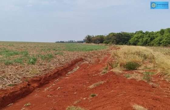 AGRO-CAMPO-E-APP-0020-750x484.jpg