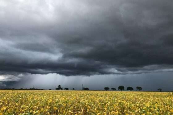 agro_soja_colheita_chuva_chuvas_17jan22_Adrian_Mel_Gettyimages-768x512.jpg