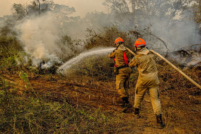 Pantanal OnLine - Site de Notícias de Colniza e Região - Pantanal