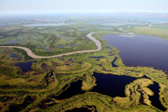 pantanal_MEV8072_rio_paraguai