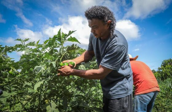 Maquinário Infraestrutura e Agricultura Familiar em POCONÉ MT-38 (1).jpg