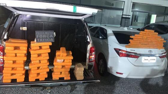trafico fevereiro (1).jpg