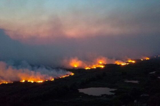 incendio-pantanal-768x509.jpg