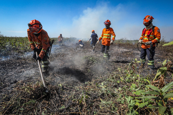 Combate à incêndios no Pantanal-67.jpg