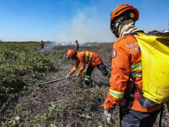 Corpo-de-Bombeiros-combate-26-incendios-florestais-em-Mato-Grosso-nesta-segunda-feira-(26).jpg