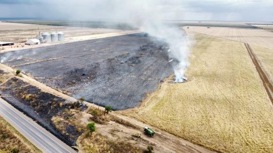 Incendio lavoura