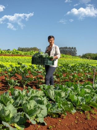 O Sicredi vem impulsionando uma série de estratégias em suas linhas de captação e crédito, com o objetivo de estimular projetos sustentáveis nas regiões em que atua_Crédito Sicredi