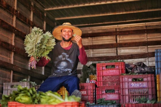 alimentos saudáveis