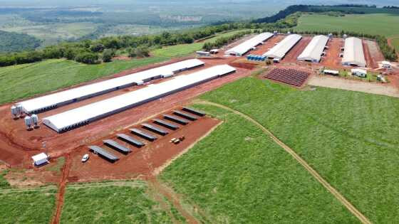 Granja integrada à Seara em Tangará da Serra