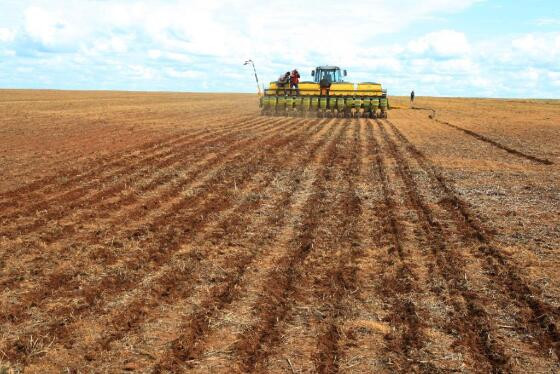 Na safra passada foram cadastradas 16.520 unidades de produção de soja, o que corresponde a 8.961 produtores de soja