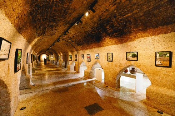 Museu do Morro da Caixa D'Água Velha 