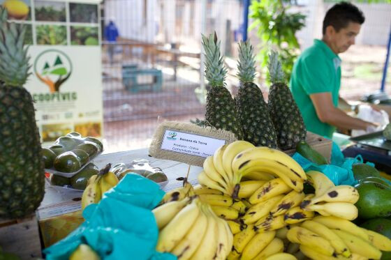 Alimento produzida pela Agricultura Familiar 