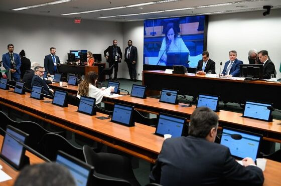 cmo-senado-768x509.jpg