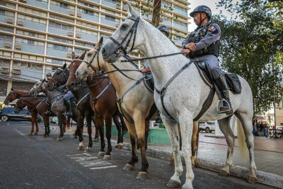 Cavalaria da PM 