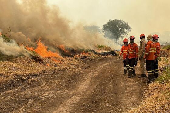 bombeiros-combatem-incendio-florestal-no-pantanal-perto-de-porto-jofre-mt-1700009352024_v2_1920x1275.jpg