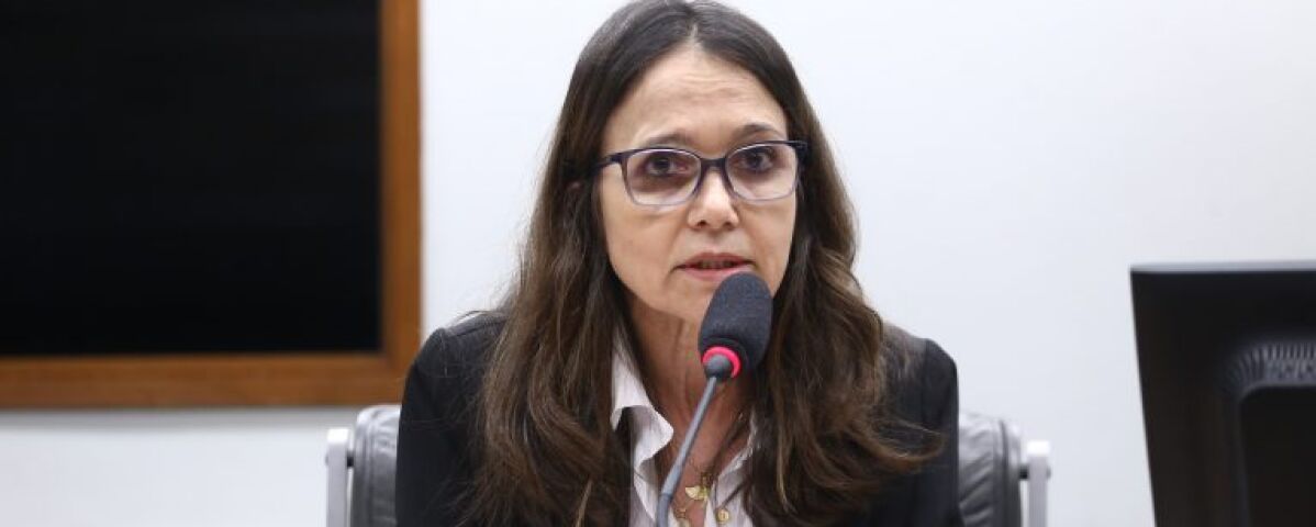 Vinicius Loures/Câmara dos Deputados